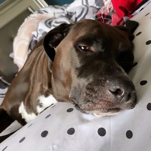 Meet your Posher, Destiny